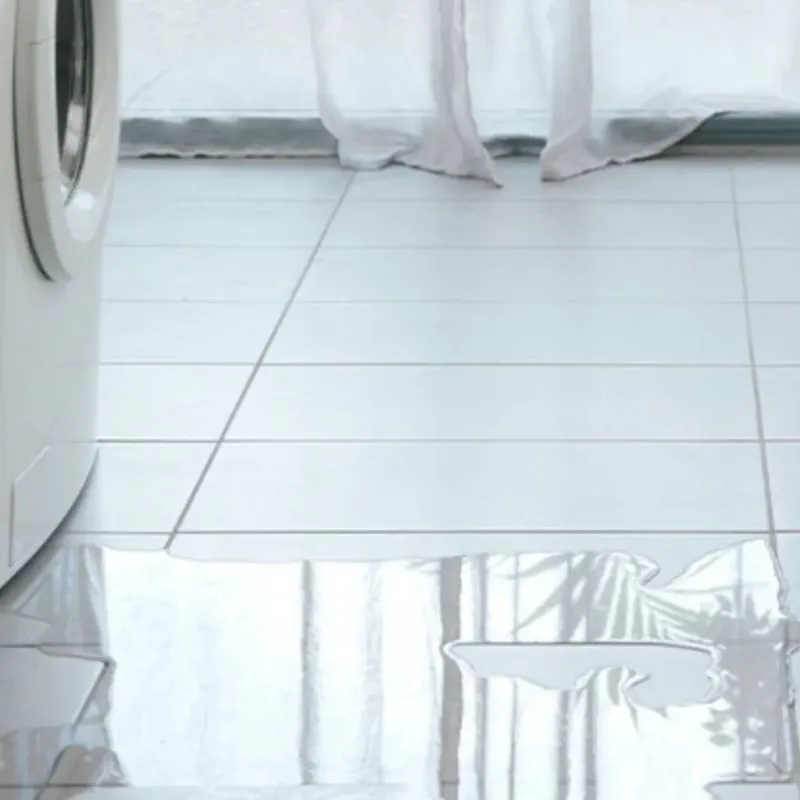 Appliance Leak Cleanup in Greene County, MO