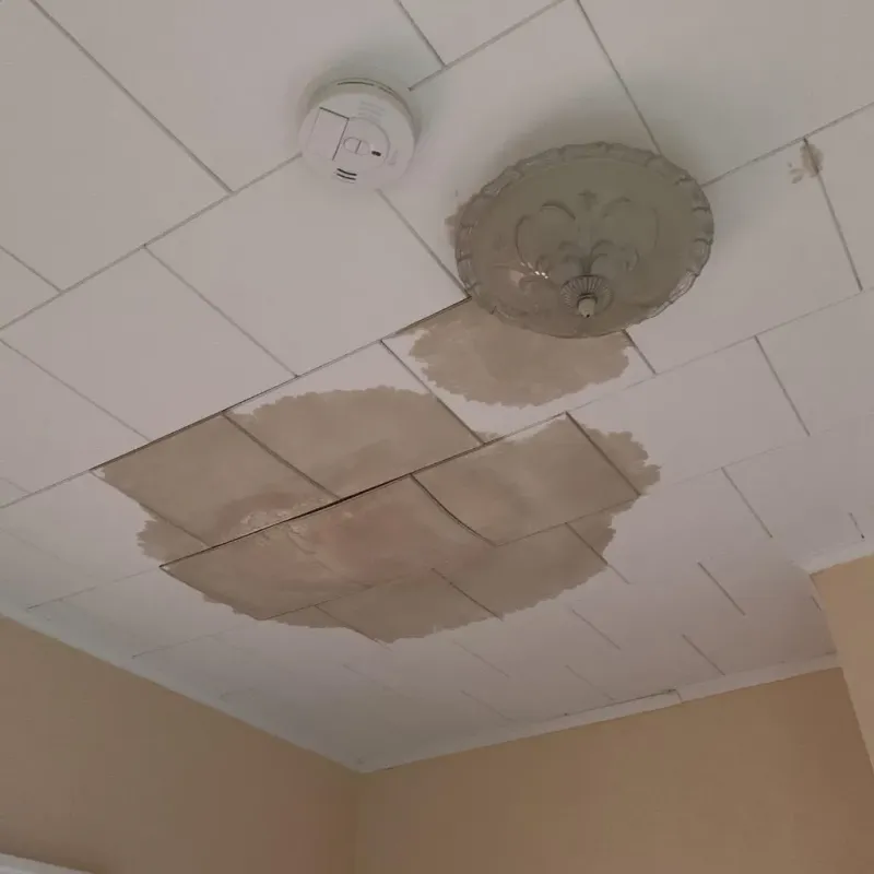 Ceiling Water Damage Repair in Greene County, MO